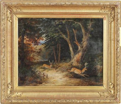 FIELDING Newton (1799-1856) « Daims en forêt » Huile sur toile, signée en bas au...