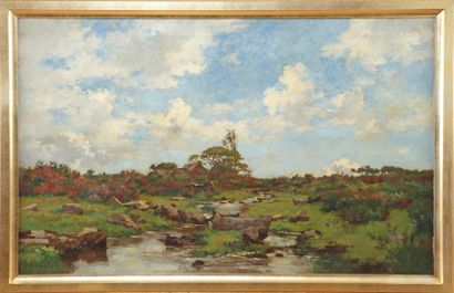 DAMOYE Pierre Emmanuel (1847-1916) "Le ruisseau dans la campagne normande" Huile...