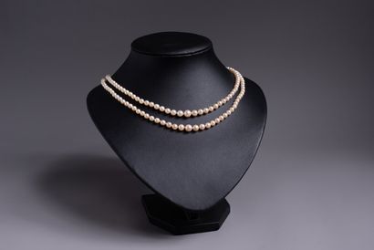 NECKLACE OF cultured pearls in double rows...