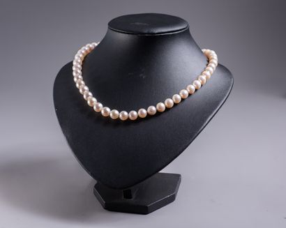 BEAUTIFUL NECKLACE OF cultured pearls choker....