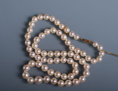 null COLLIER DE PERLES de culture en légère chute. Fermoir et chaine de sécurité...