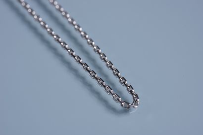 null 18 ct white gold chain with horse chain in R. P: 4,8 g
