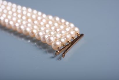 null RAS-DE-COU necklace with 4 rows of choker cultured pearls and 18k gold clasp....