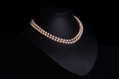 NECKLACE OF cultured pearls choker. Clasp...