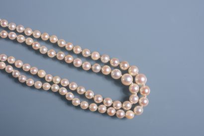 null NECKLACE OF cultured pearls in double rows and in fall. Clasp and safety chain...