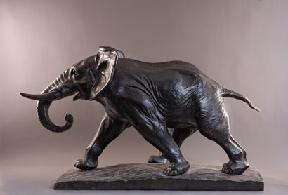null Charles VIRION (1865-1946) "Eléphant chargeant" Bronze, signé sur la terrasse....