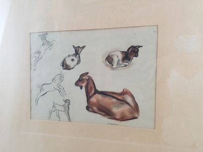 null André MARGAT (1903-1999) "Etudes de chèvres et chevreaux" Monotype, signé dans...