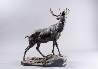 null Charles VALTON (1851-1918) "Cerf bramant" Bronze à patine foncée. Signé sur...
