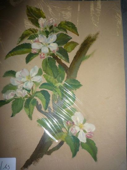 null branchage fleuri, gouache