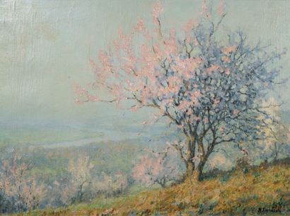 null Raymond THIBÉSART (1874-1968)

Cerisier en fleurs

Huile sur toile

Signée en...