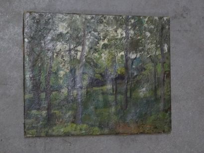 Eugene Robert POUGHEON (1886-1955) "Sous bois" Huile sur toile, cachet en bas a gauche,...