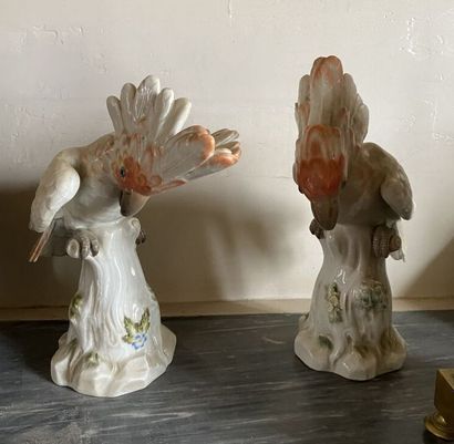 null Paire de statuettes en forme de cacatoès

Meissen, Allemagne, XIXème siècle...