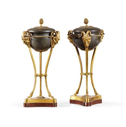 Pair of patinated and gilt bronze cassolettes

End...
