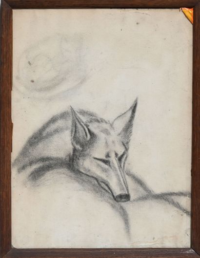 null Charles Félix GIR (1883-1941) Deux dessins.

" Renard endormi" Fusain sur papier....