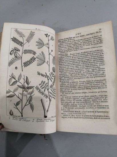 null [Collectif]
Nouveau Dictionnaire d'Histoire Naturelle, appliqué aux Arts, principalement...