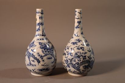 null CHINE POUR LE VIETNAM, XIXe siècle	
Paire de bouteilles en porcelaine 
décorée...