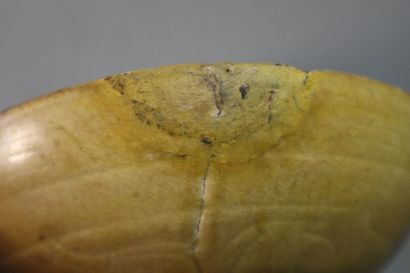 null VIETNAM, XIIe/XIVe siècle	
Ensemble comprenant en grès émaillé beige comprenant...