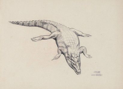 André MARGAT «Crocodile» Crayon sur papier Tampon de l'atelier Margat en bas à droite...