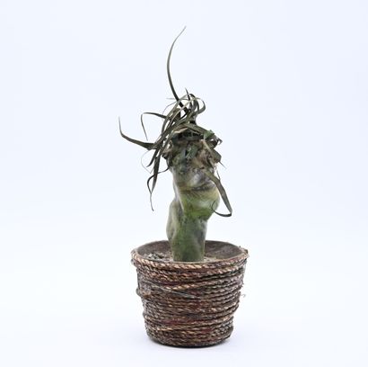 null Olivier MATTEI
Cactus
Assemblage plâtre
H : 23 cm
