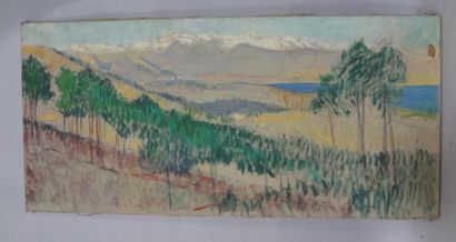 Georges CAPRON "Lac de Montagne" Huile sur toile. 49 x 104 cm. Accident. Vendu en...