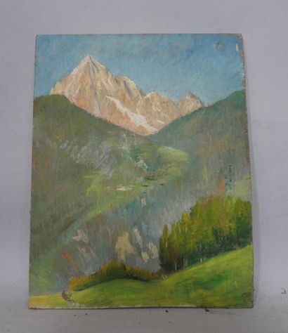 Georges CAPRON "Paysage de Montagne" Huile sur panneau. 53 x 42 cm. Vendu en l'é...