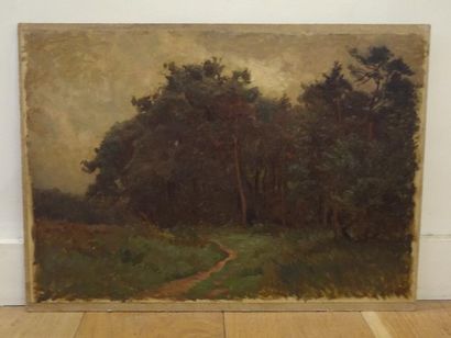 DE MARTENNE Etienne (1868-1920) "Paysage aux arbres", Huile sur papier contrecollé...