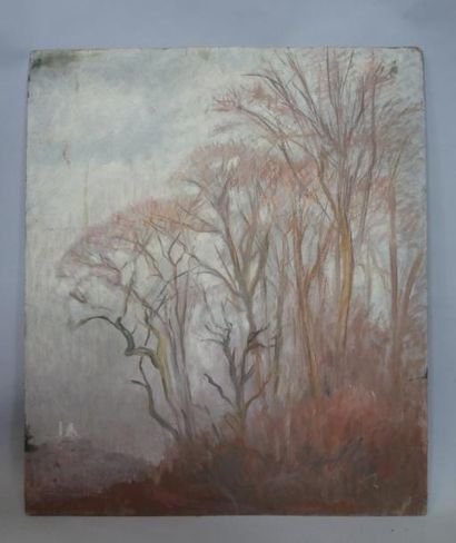 Georges CAPRON "Bouquet d'arbres en hiver" Huile sur panneau. 74 x 63,5 cm. Vendu...