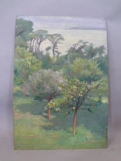 Georges CAPRON "Les arbres en fleurs" Huile sur isorel. Signée en bas à droite. 55...