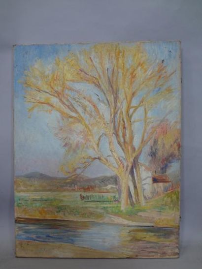 Georges CAPRON "Maison et bouquet d'arbres près de la marre" Huile sur toile. 65...