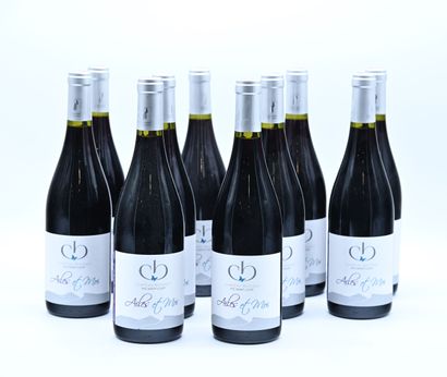 null 10 bottles PIC SAINT LOUP "Ailes et Moi", Château Boisset2018