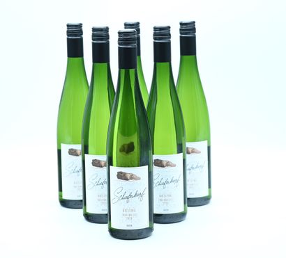 null 6 bouteilles BADEN "Riesling trocken", Schieferkopf 2020