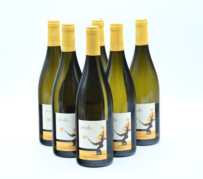 null 6 bottles IGP VAL DE LOIRE "Parcelles Chardonnay", Réthoré Davy20