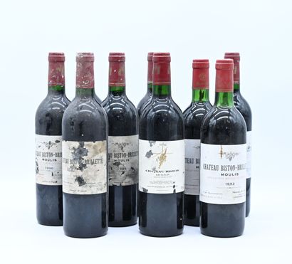 10 bouteilles CH. BISTON-BRILLETTE, Moulis...