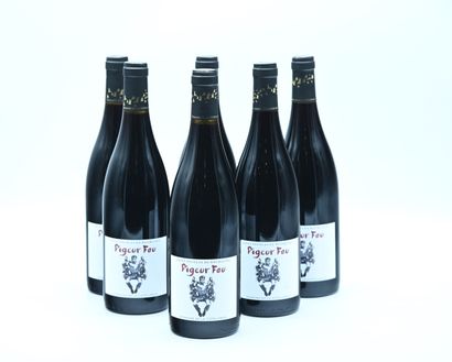 null 6 bottles SAINT-NICOLAS-DE-BOURGUEIL "Pigeur Fou", Domaine de la Cotellerai...