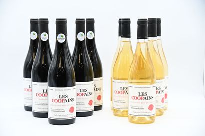 11 bouteilles Les Coopains, 5 blancs et 6...