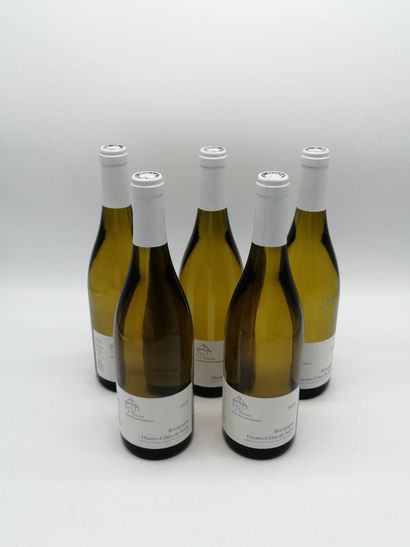 null 5 bouteilles HAUTES-CÔTES-DE-NUITS Domaine Henri Naudin-Ferrand2018
