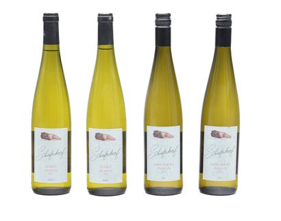 null 4 bouteilles VIN ALLEMAND Schieferkopf (2 Franken Sylvaner 2017 & 2 Pfalz Gewurz...