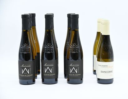 null 12 demi-bouteilles VINS BLANCS (3 Sancerre 2019 Pierre Martin, 9 Coteaux du...