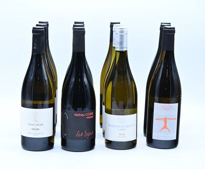 null 12 bouteilles VINS DIVERS ligériens, (3 Vouvray 2018 M. Cosme, 3 Château Fosse-Sèche...