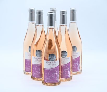 6 bouteilles BEAUJOLAIS rosé, David Béroujon...