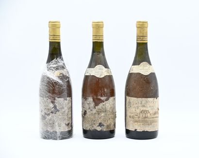 null 3 bouteilles VOUVRAY "Le Mont Moelleux 1ere trie", Domaine Huet1989 (ela)