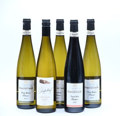 null 4 bouteilles ALSACE Domaine F. Engel (Pinot noir 2020, Riesling 2019, 2 Pinot...