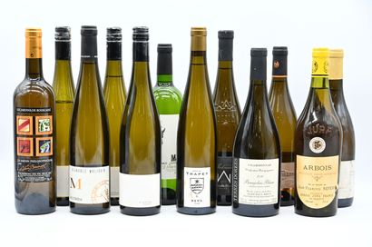 12 bouteilles VINS BLANCS DIVERS (5 Alsace...