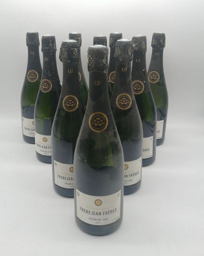 10 bouteilles CHAMPAGNE 