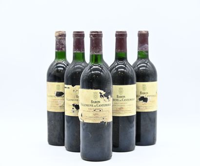 6 bouteilles BARON VILLENEUVE DE CANTEMERLE,...