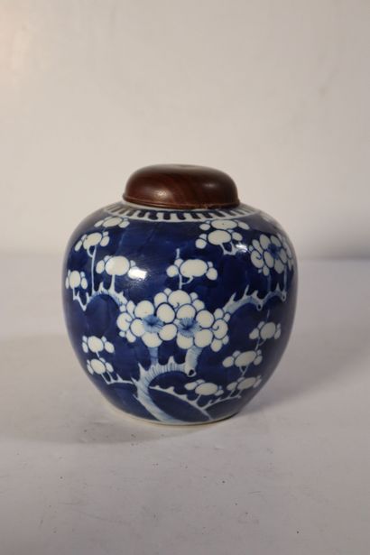 null CHINA, 19th century
Porcelain ginger pot decorated in blue underglaze with plum...