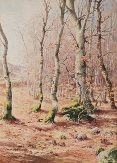 ALLONGE Auguste (1833-1898) Les bouleaux dans les bois du Nugeyre en décembre "Aquarelle,...