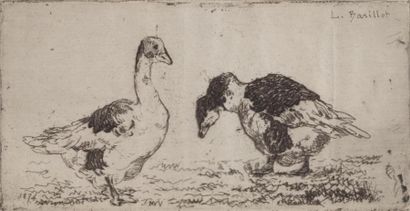 BARILLOT Léon (1844-1929) Deux oies "Gravure, signée dans la planche en haut à droite...
