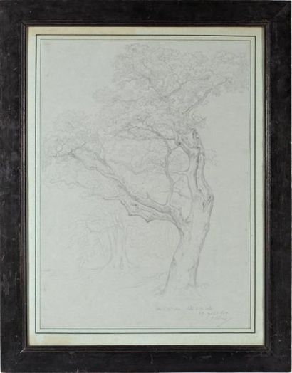 BLERY Eugène Stanislas Alexandre (1805-1886) Etude de vieux chêne "Dessin à la mine...