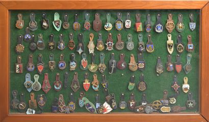 88 insignes régimentaires, brevets et insignes...